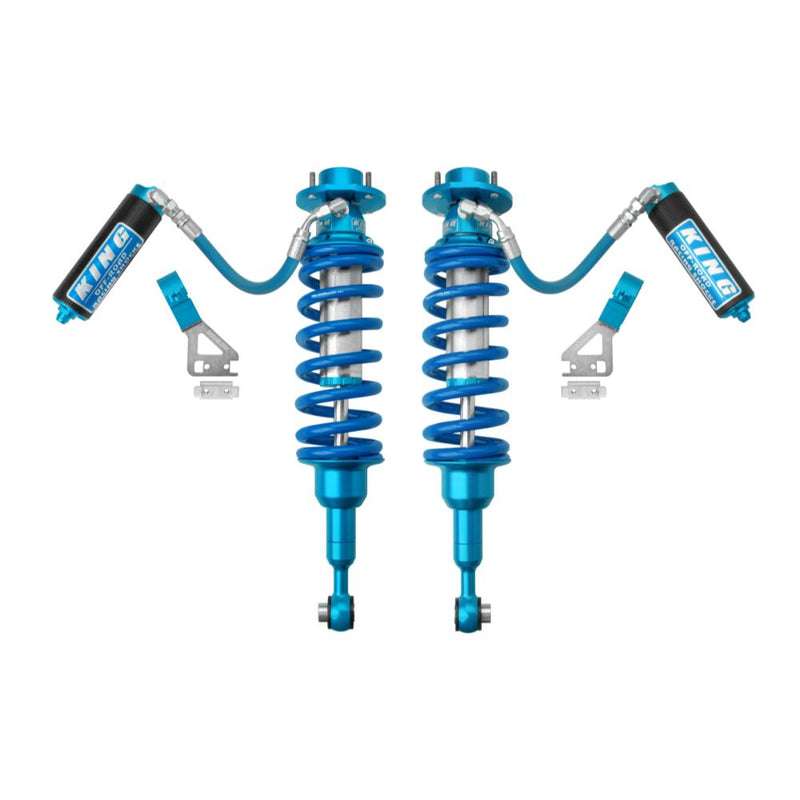 Front Shocks Assembly