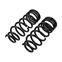 Load image into Gallery viewer, Old Man Emu Rear Coil Spring Set 3106