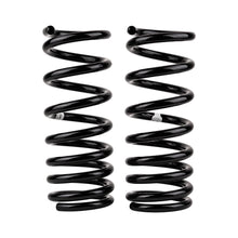 Load image into Gallery viewer, Old Man Emu Rear Coil Spring Set 3111