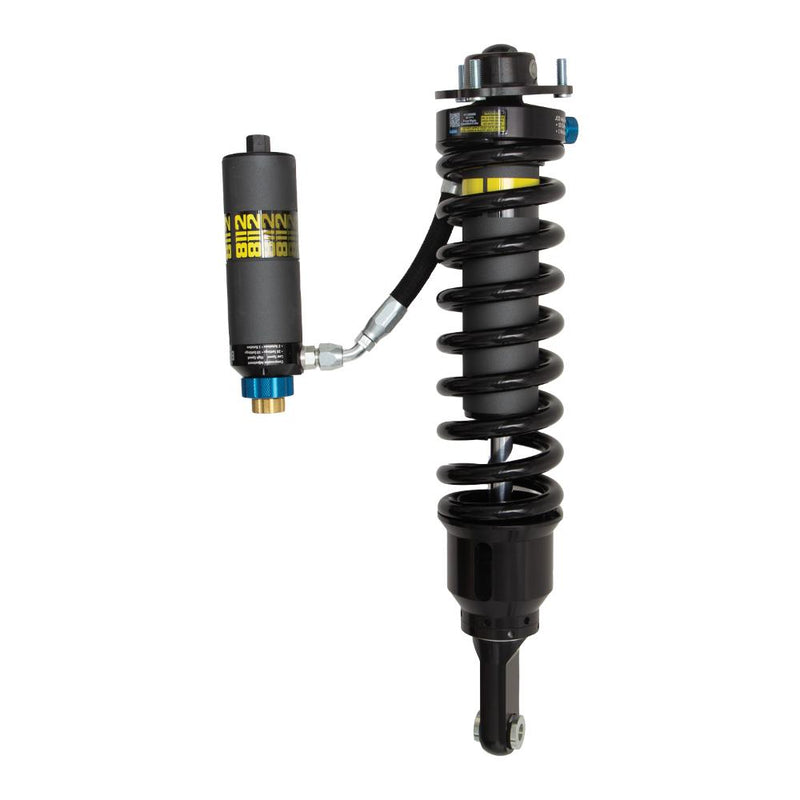 Front Shocks Assembly