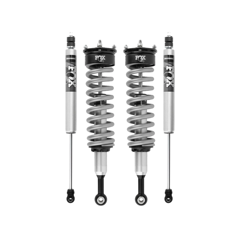 Front Shocks Assembly
