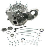 S&S Cycle 48-64 BT w/ Stock Bore Super Stock Generator Style Crankcase