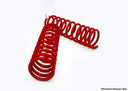 Dobinsons Touch Up Paint Red - PAINTRED protecting heavy-duty red coil springs from rust and wear on lifted 4x4 suspensions