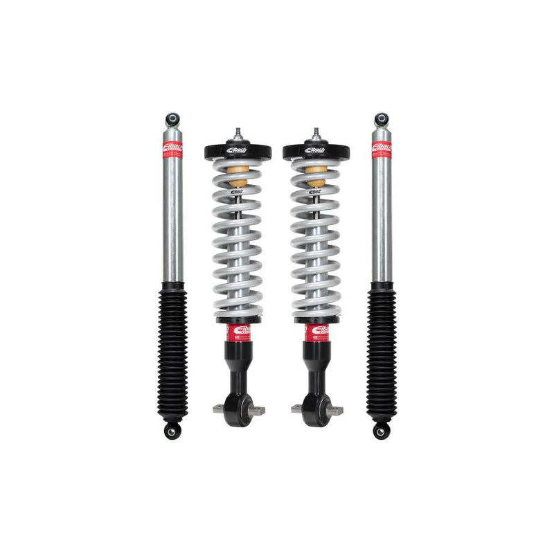 Front Shocks Assembly