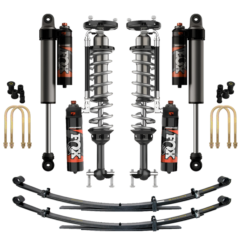 Front Shocks Assembly