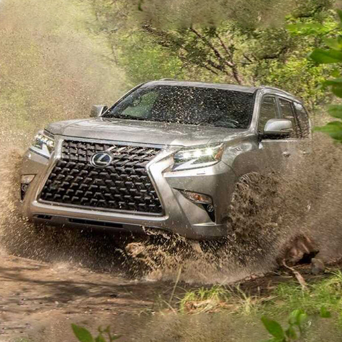 The 2019 Old Man Emu Lexus LX is maneuvering through the woods with its impressive OME 2 inch Lift Kit for Lexus GX460 (10-23) - Front Shocks Assembly and suspension system.