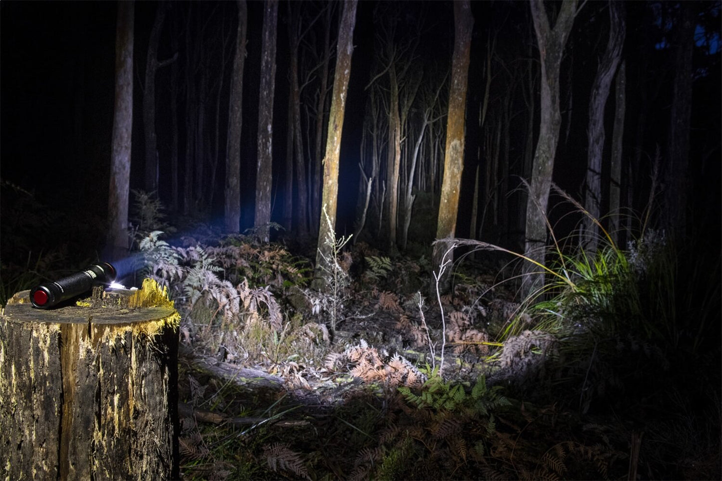 ARB Pureview 800 Flashlight 10500070 durable anodized aluminum body with high-lumen output for off-road nighttime use