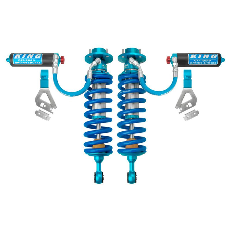 Front Shocks Assembly