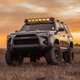 The Old Man Emu Toyota 4Runner, with easy installation and a ride height adjusted by ARB Old Man Emu Front Coil Springs 2881, is parked in a field at sunset.