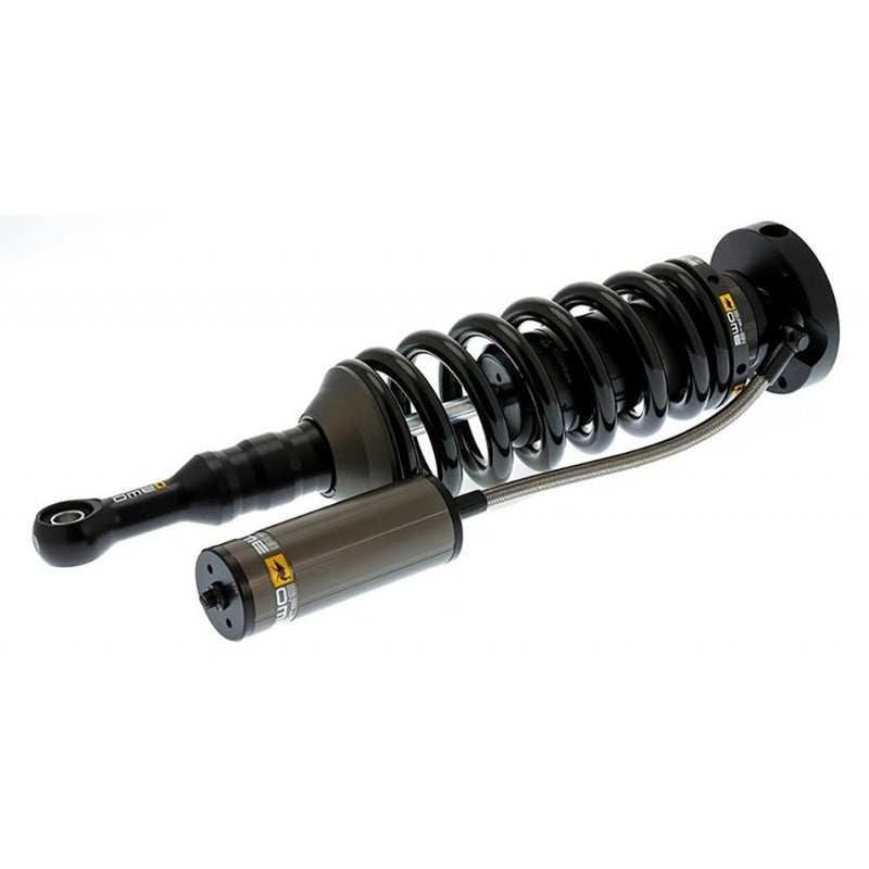 Front Shocks Assembly